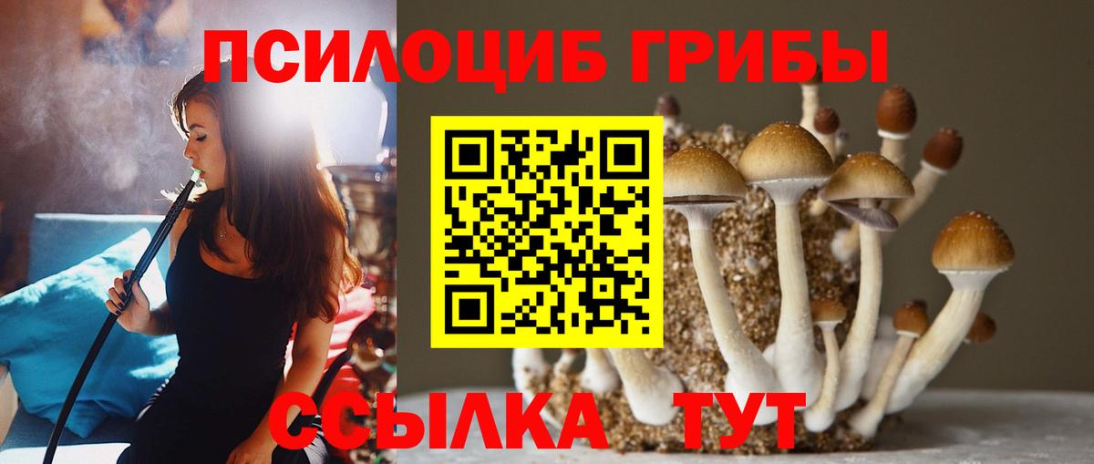 Галлюциногенные грибы Psilocybine cubensis  Вход с VPN  Ногинск  Галлюциногенные грибы прущие грибы 